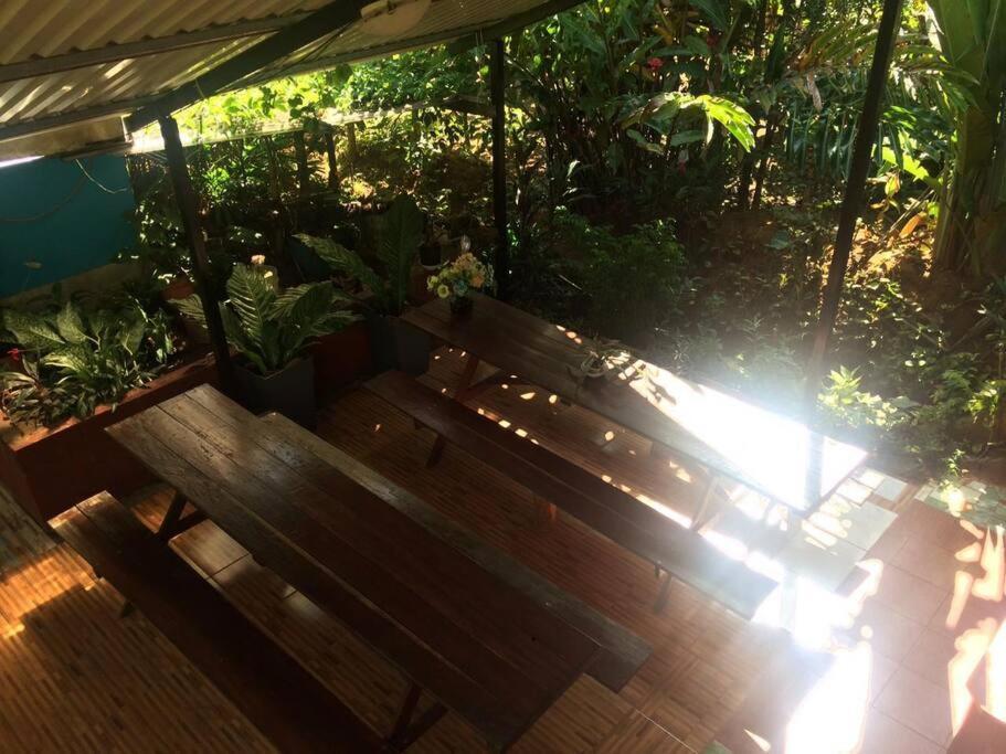 Hospedaje Valencia Osa, Cr Potrero  Dış mekan fotoğraf