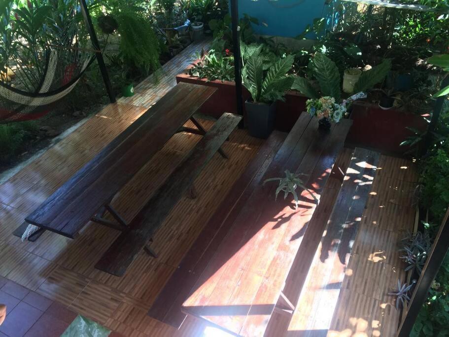 Hospedaje Valencia Osa, Cr Potrero  Dış mekan fotoğraf