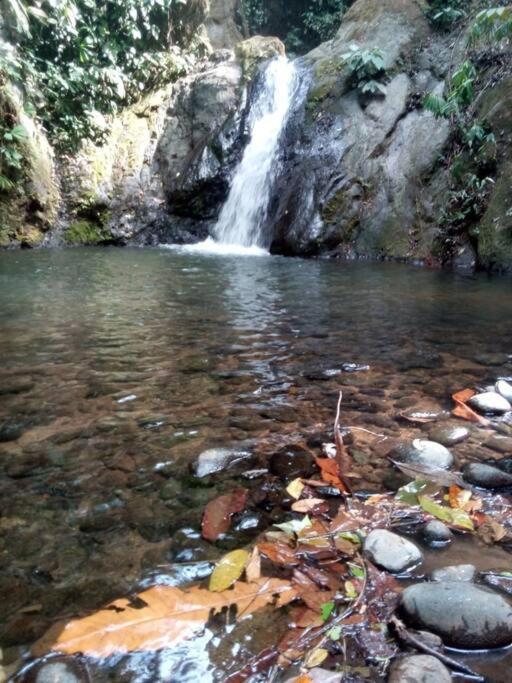 Hospedaje Valencia Osa, Cr Potrero  Dış mekan fotoğraf