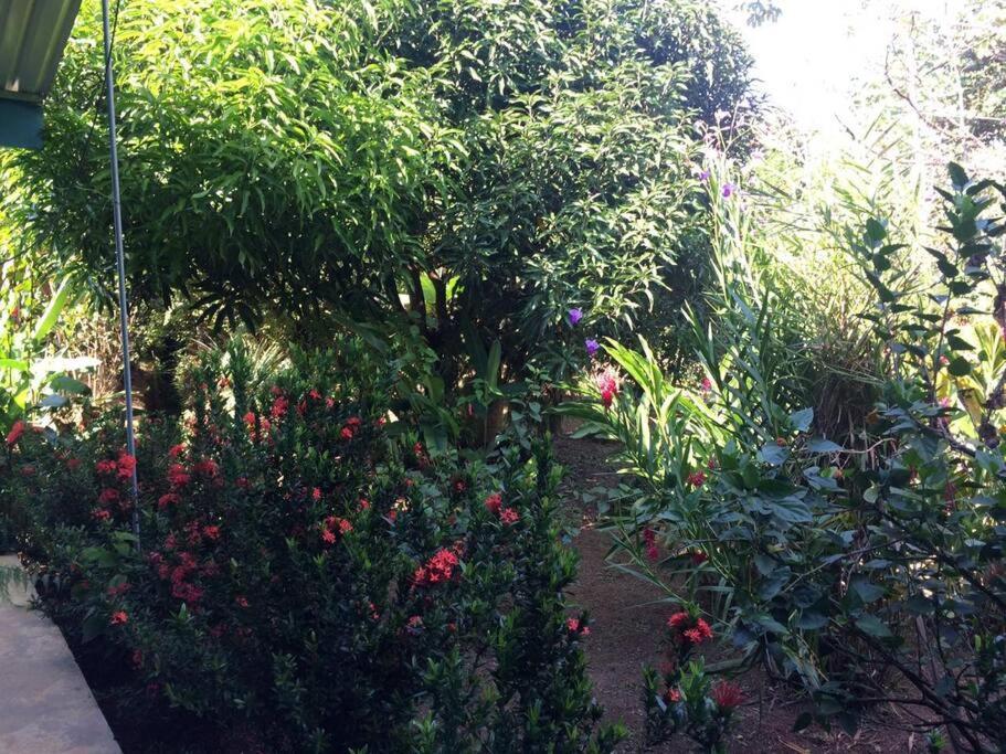 Hospedaje Valencia Osa, Cr Potrero  Dış mekan fotoğraf