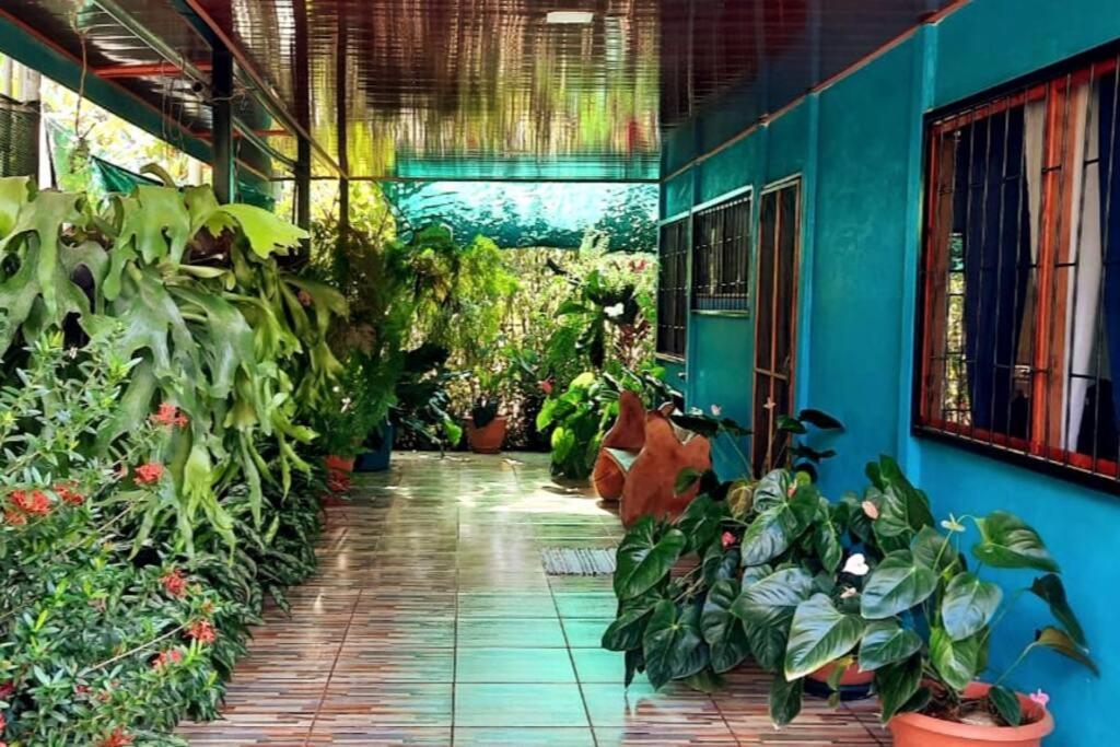 Hospedaje Valencia Osa, Cr Potrero  Dış mekan fotoğraf