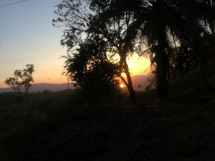Hospedaje Valencia Osa, Cr Potrero  Dış mekan fotoğraf